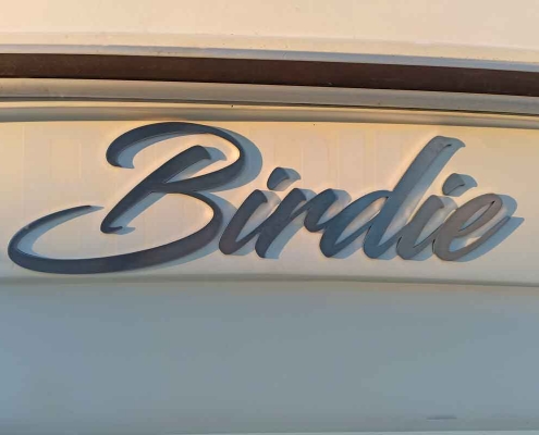 birdie-1